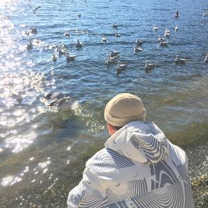 日本黄色三级片网址
