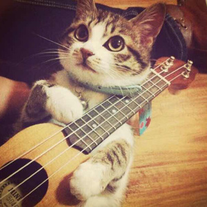 日本黄色三级片网址
