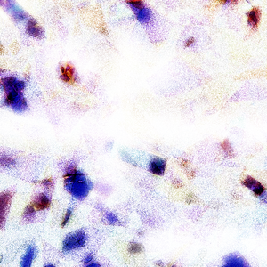 日本黄色三级片网址
